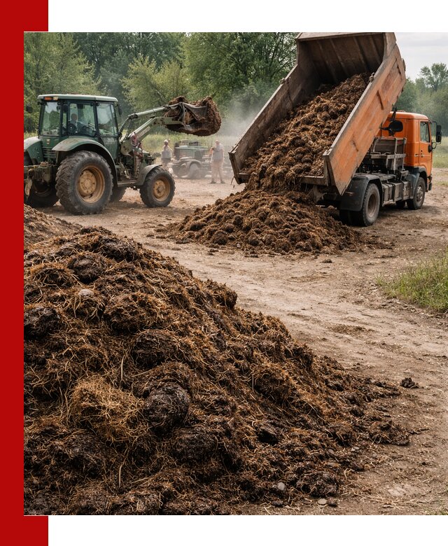 Доставка навоза самосвалами в Донецке для сельхозпотребностей